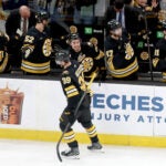 Bruins