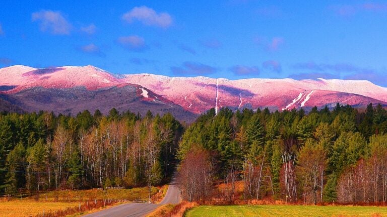 Vermont snowliage