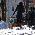 This winter's below-average temperatures and ice melt shortages have resulted in lots of icy and unshoveled sidewalks.