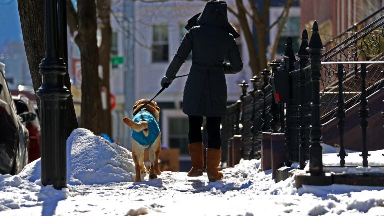 This winter's below-average temperatures and ice melt shortages have resulted in lots of icy and unshoveled sidewalks.